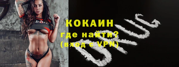 твердый Алексин