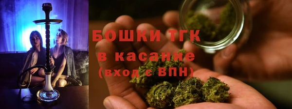 твердый Алексин