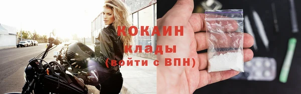 твердый Алексин