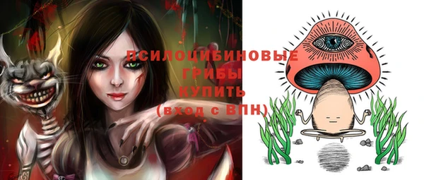 твердый Алексин