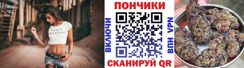 omg сайт  Дмитриев  Бошки Шишки семена 